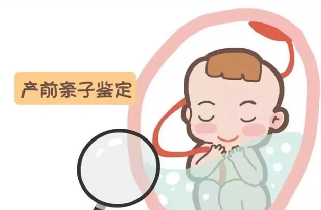 怀孕几个月怎么确定孩子是谁的[沈阳],孕期亲子鉴定结果准确吗